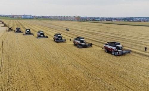 В Татарстане завершили посев озимых, продолжается сбор урожая1