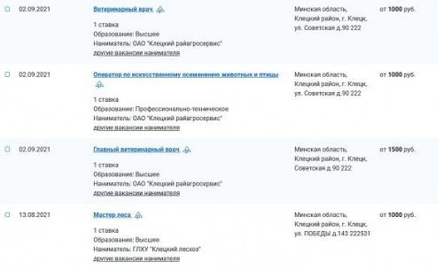 Зарплаты белорусских городов. Столько платят в Клецке 3