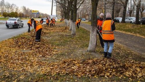 10 КАМАЗов листвы вывезли сотрудники «ТАИФ-НК» с улицы Лесная в Нижнекамске2
