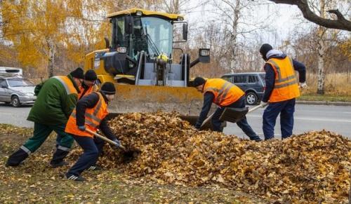 10 КАМАЗов листвы вывезли сотрудники «ТАИФ-НК» с улицы Лесная в Нижнекамске1