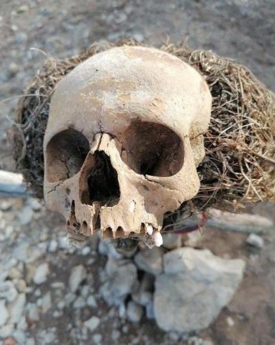 Из человеческих костей соорудили пугало на месте глэмпинга в Татарстане1