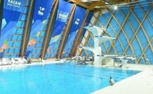 Пловец Мусин установил рекорд на этапе Кубка мира в Казани1