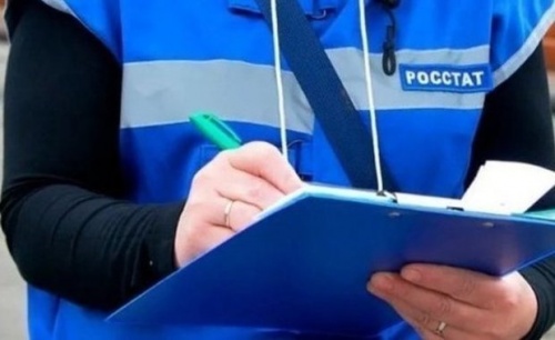 Почти 4,5 тысяч жителей Нижнекамска прошли перепись на «Госуслугах»1