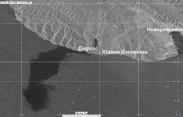 Росприроднадзор оценил ущерб природе от разлива нефти возле Новороссийска в 4,48 млрд рублей1