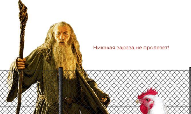 Сетка рабица: обзор ограждения