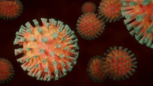 Главное о коронавирусе на 27 ноября4