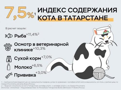 В Татарстане рассчитали индекс содержания кота2
