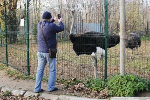 Челнинскому зоопарку отказали в получении лицензии1