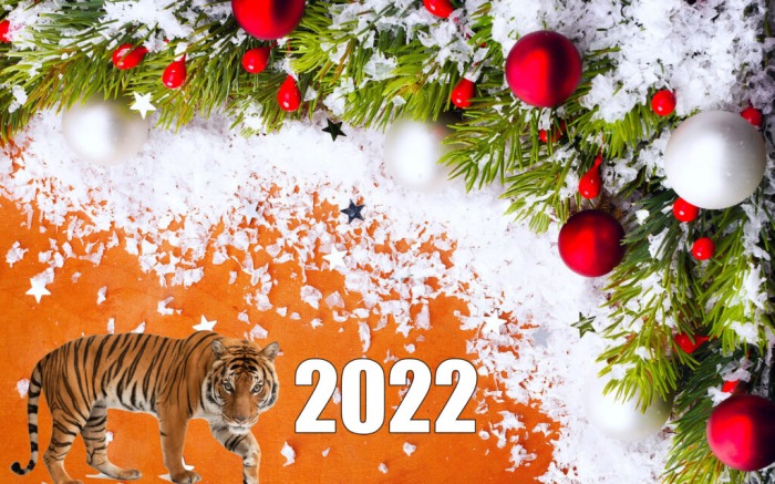 Как правильно встречать новый 2022 год Тигра0
