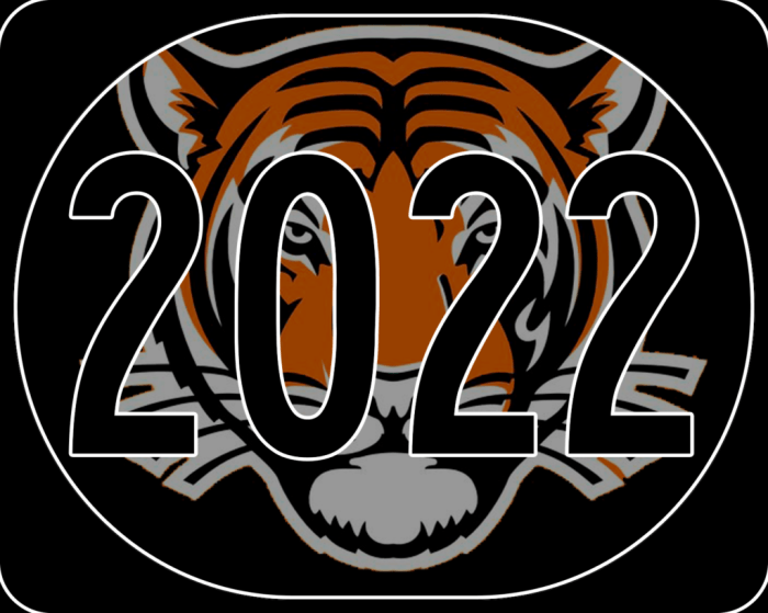 Новый 2022 год: символ года, чего ожидать и как встречать?0