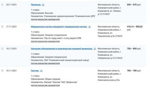 Сколько платят белорусам в провинции – Климовичи 2
