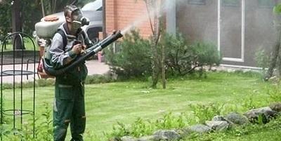 Где лучше оформить заявку для качественного уничтожения клещей