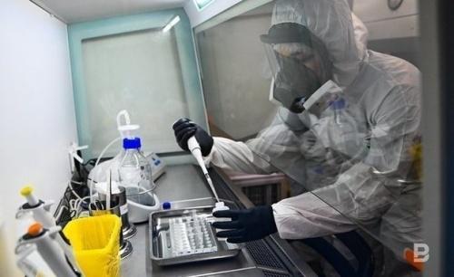 Эпидемиолог Пшеничная прокомментировала информацию о выявлении коронавируса1