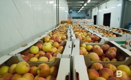 По предложению ФАС ретейлеры согласились ограничить наценки на продукты1