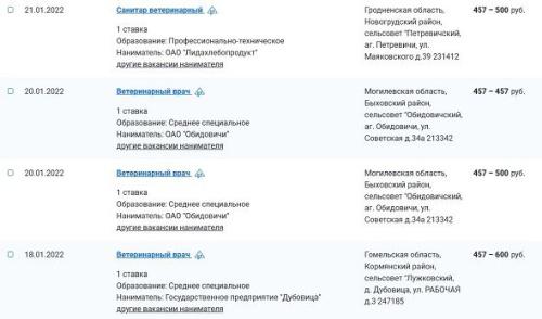 Популярные профессии Беларуси. Ветеринар: особенности, условия, зарплаты1