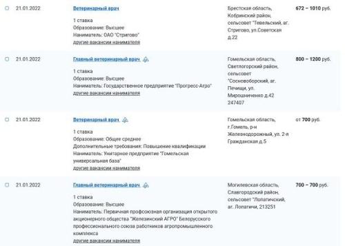 Популярные профессии Беларуси. Ветеринар: особенности, условия, зарплаты2