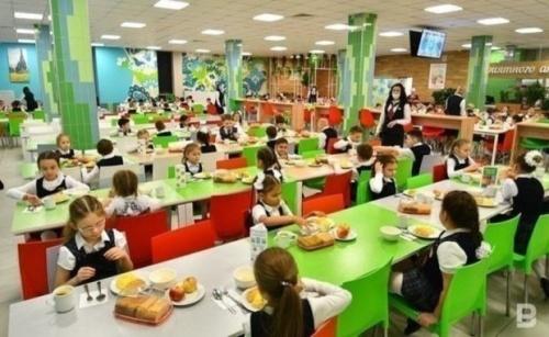 В Чувашии проверяют школу, где детям дали крошечные порции салата1