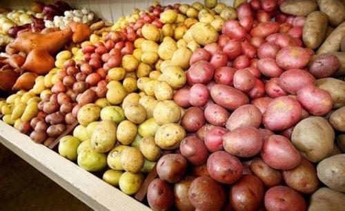В РТ сохраняются низкие розничные цены на продукты среди регионов ПФО1