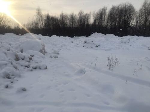 В Советском районе Казани экологи обнаружили незаконную свалку снега1