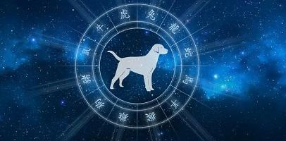 Гороскоп на март 2022 год — Собака