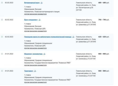 Сколько зарабатывают белорусы в провинции – Лоев2