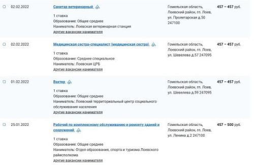 Сколько зарабатывают белорусы в провинции – Лоев1