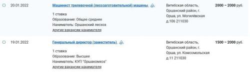 Зарплаты белорусских городов: столько платят в Орше3