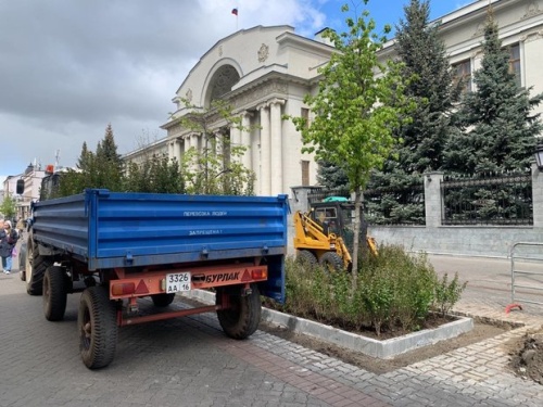 В Казани на улице Баумана высаживают деревья и кусты1