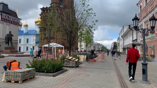 В Казани на улице Баумана высаживают деревья и кусты3