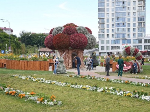 В Казани восстановят 24 объемные цветочные фигуры — фото13