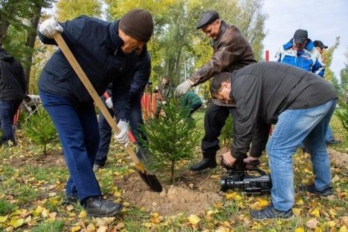 В рамках экологического двухмесячника в Татарстане посадили 1 млн деревьев1