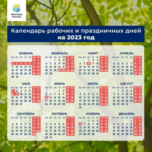 В 2023 году россиян ждут 118 выходных дней - много это или мало?1