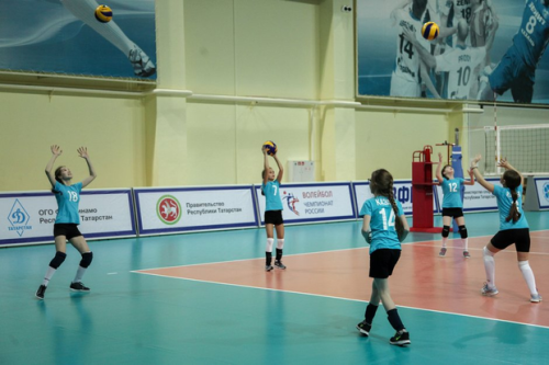 В Татарстане утвердили программу развития детско-юношеского спорта 2