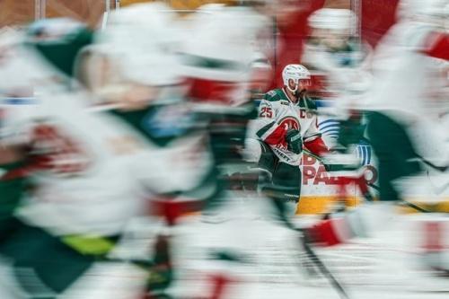 Данис Зарипов подписал контракт с «Ак Барсом» на один год1