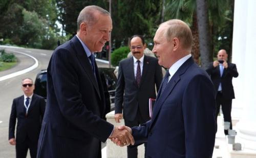 Путин и Эрдоган договорились об оплате поставок газа из России в рублях1