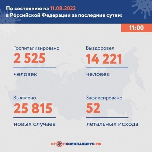 Статистика заболеваемости коронавирусом в России на 11 августа1
