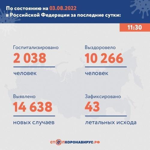статистика заболеваемости коронавирусом в России на 3 августа 1