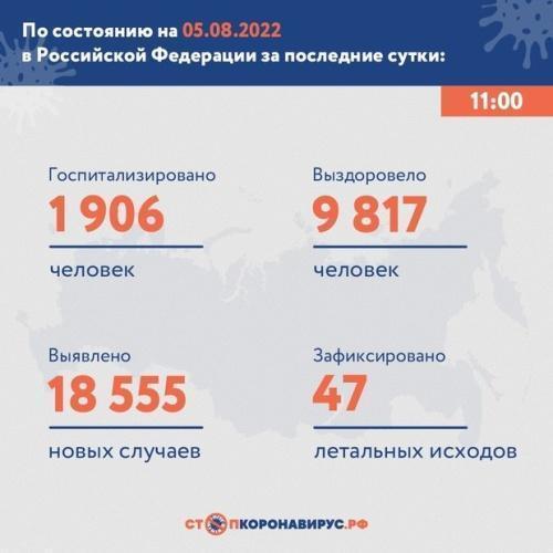 Статистика заболеваемости коронавирусом в России на 5 августа1