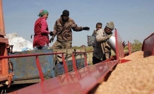 Экс-начальник МСЧ МВД Татарстана возглавил сельхозпредприятие в Новой Атне2