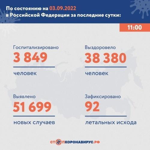 В России зарегистрировали 51 699 случаев заражения COVID-191