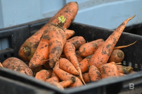 В Татарстане снижаются цены на продукты из «борщевого набора» 1