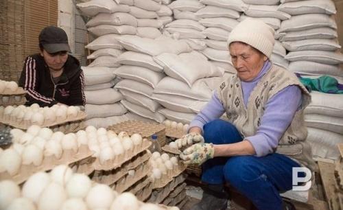 В Татарстане выросло производство яиц1