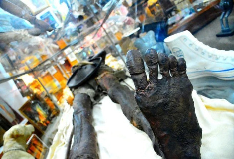 Кап Два - загадочная мумия двухголового гиганта из Патагонии 3