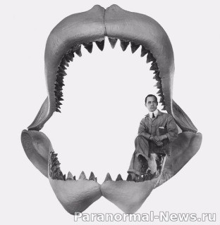 Доказательства того, что огромная акула мегалодон все еще плавает в глубинах океана 1