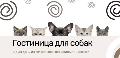 Как проходит день в гостинице для собак