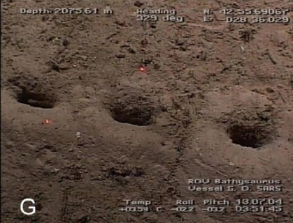 Опубликованы новые снимки загадочных отверстий на дне Атлантического океана 3