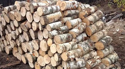 Торговля древесиной - под контролем ЕГАИС Лес