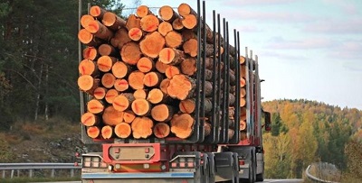 Эффективное Управление Документооборотом в Лесопромышленной Отрасли