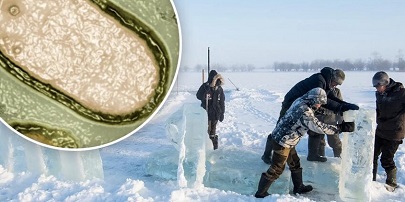 Зомби-вирусы из вечной мерзлоты Сибири могут стать источником пандемии