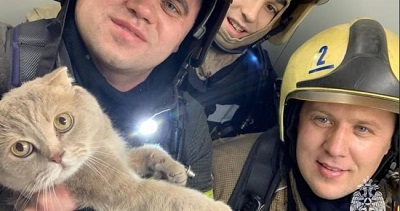 Героическое спасение в Воронеже: Троих человек и кота